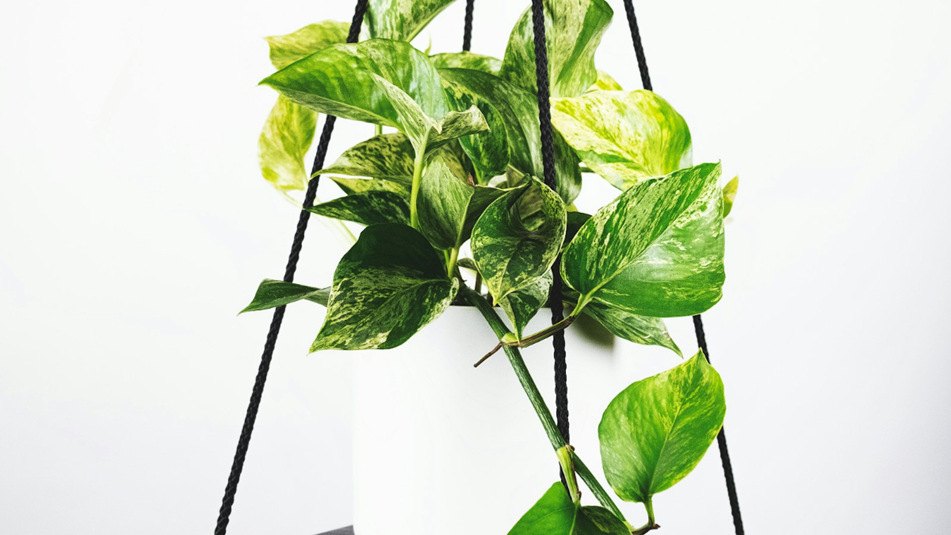 2026世界杯主体育场全景 - 巨大的足球场与观众席